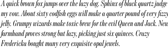 Benton Modern Display Compressed Italic OT