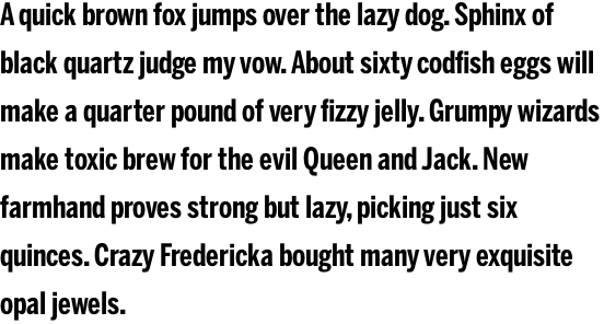 Benton Sans Compressed Bold OT