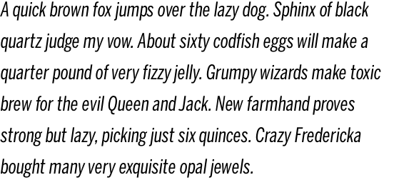 Benton Sans Compressed Italic OT