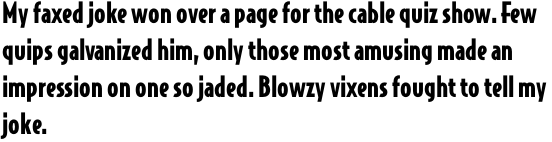 Bodega Sans Black OT