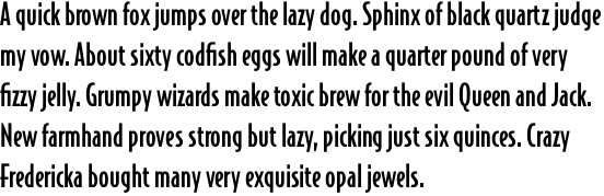 Bodega Sans Medium OT