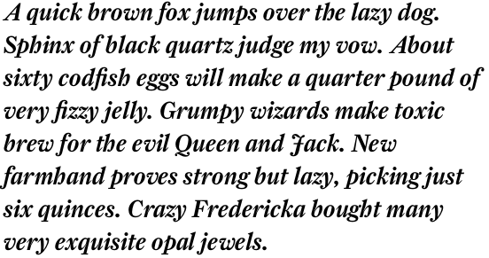 Farnham Display Medium Italic OT