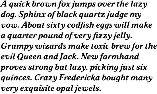 Parkinson Bold Italic OT