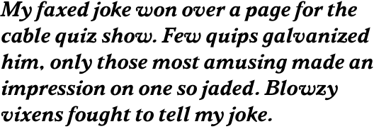 Parkinson Bold Italic OT