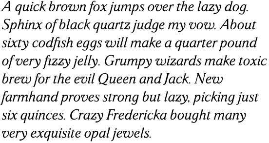 Parkinson Italic OT