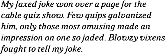 Parkinson Medium Italic OT