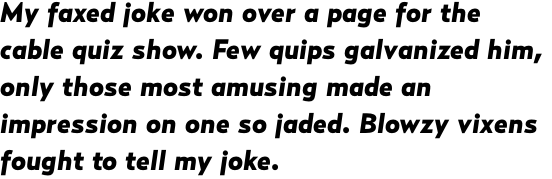 Relay Black Italic OT