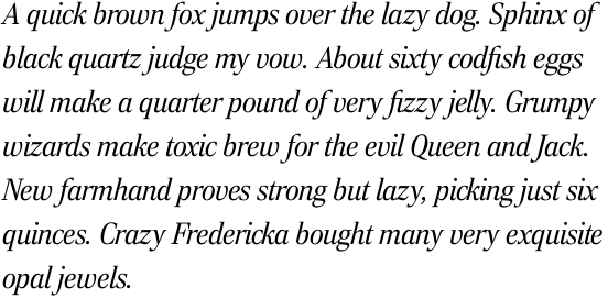 Rocky Light Italic OT