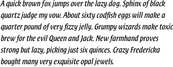 Sam Sans Bold Italic OT