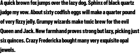 Scout Condensed Black OT