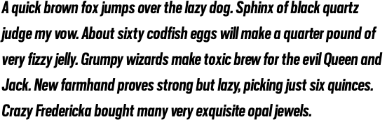 Scout Condensed Bold Italic OT