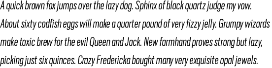 Scout Condensed Light Italic OT