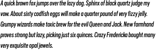 Scout Condensed Regular Italic OT