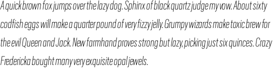 Scout Condensed Thin Italic OT