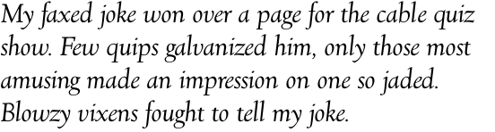 Village Italic OT