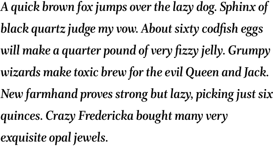 Whitman Display Bold Italic OT