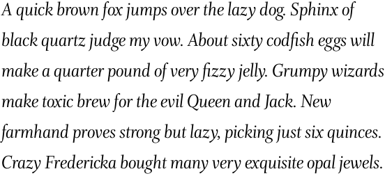 Whitman Display Regular Italic OT