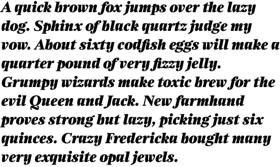 Zocalo Banner Black Italic OT