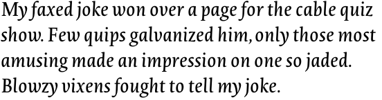 Novel Pro Regular Italic OT