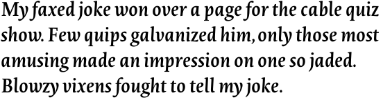 Novel Pro Semi Bold Italic OT