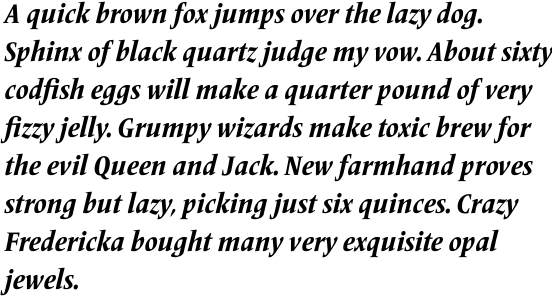 Frutiger Serif Pro Condensed Heavy Italic