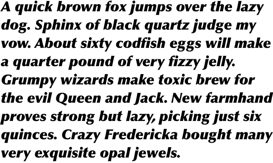 Optima Pro Extra Black Italic
