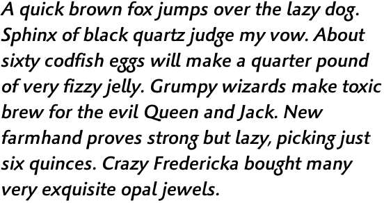 Palatino Sans Pro Medium Italic