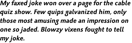 Palatino Sans Pro Bold Italic