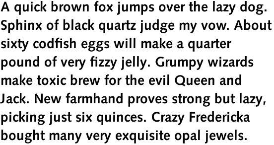 Syntax Pro Bold