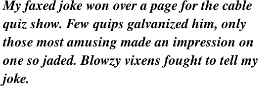 Times Pro Bold Italic