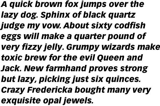Vectora Pro 96 Black Italic