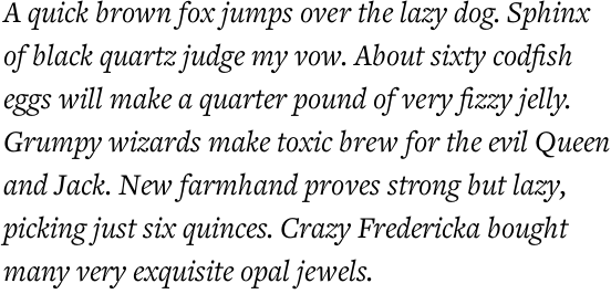 Freight Text Pro Book Italic OT