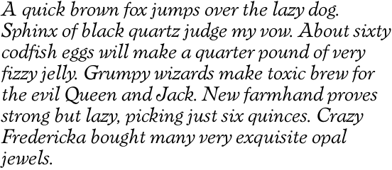 Verona SB Italic OT