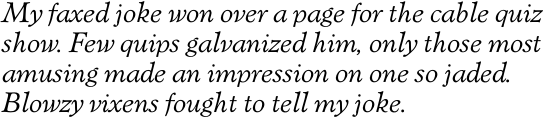Verona SB Italic OT