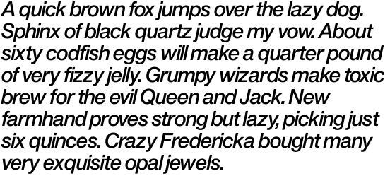 Europa Grotesque No. 2 SH Medium Italic OT