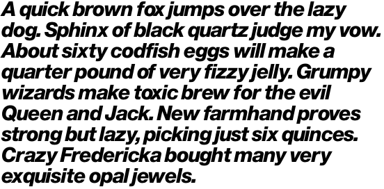 Europa Grotesque No. 2 SH Extra Bold Italic OT