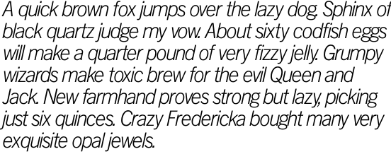 News Gothic SH Light Italic OT