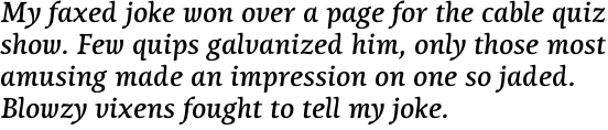 Lineare Serif Bold Italic OT