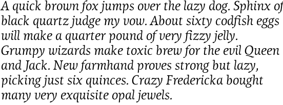 Lineare Serif Italic OT