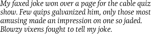 Lineare Serif Italic OT