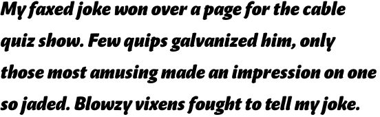 FF Masala OT Black Italic