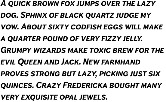 FF Dagny Offc Pro Bold Italic SC