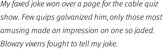 FF Meta Offc Light Italic