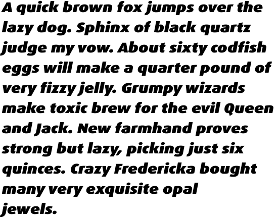 FF Dax Offc Wide Black Italic