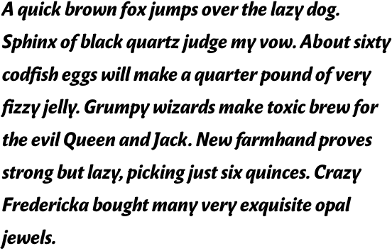 FF Masala Pro Bold Italic