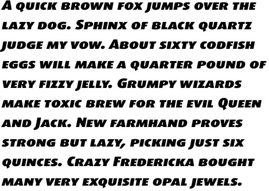 FF Dax Offc Wide Black Italic SC
