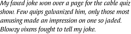 PTL Publicala Book Italic LF OT