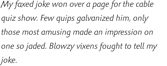 Palatino Sans Informal Com Light Italic