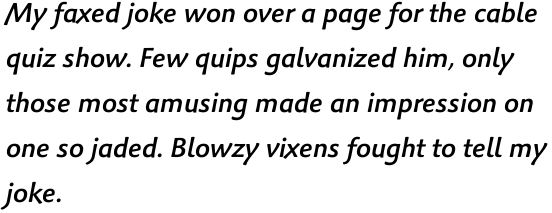 Palatino Sans Informal Com Medium Italic