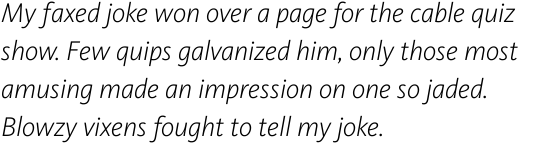 FF Kievit Offc Pro Light Italic
